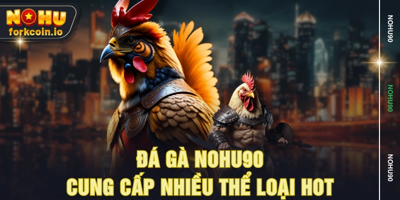 Đá gà NOHU90 cung cấp nhiều thể loại hot Đá gà NOHU90 cung cấp nhiều thể loại hot