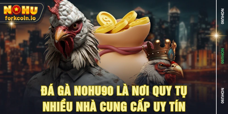 Đá gà NOHU90 là nơi quy tụ nhiều nhà cung cấp uy tín Đá gà NOHU90 là nơi quy tụ nhiều nhà cung cấp uy tín