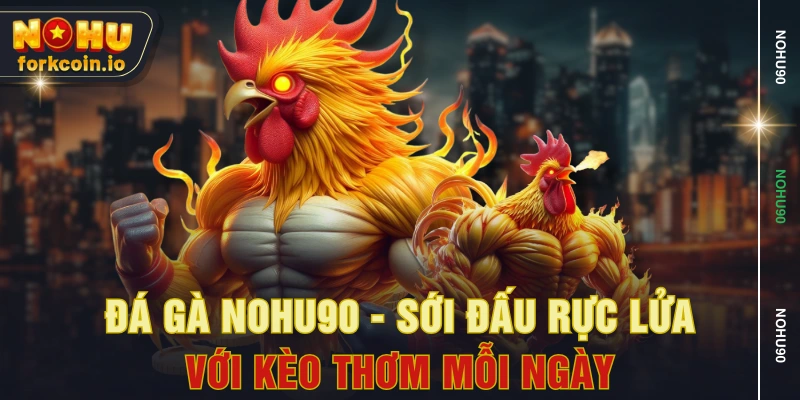 Đá Gà NOHU90 - Sới Đấu Rực Lửa Với Kèo Thơm Mỗi Ngày Đá Gà NOHU90 - Sới Đấu Rực Lửa Với Kèo Thơm Mỗi Ngày