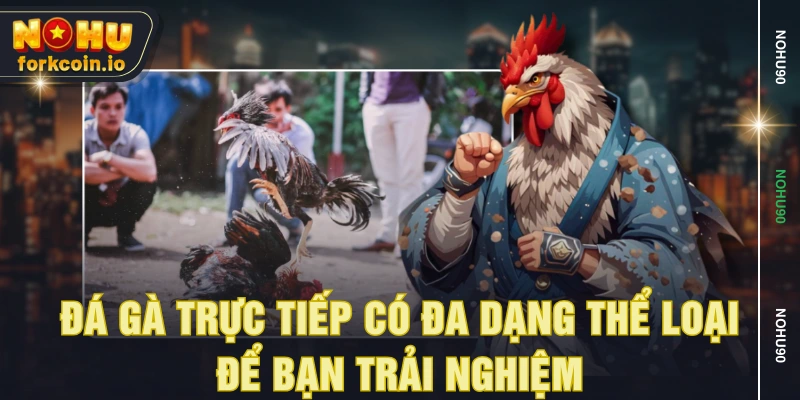 Đá gà trực tiếp có đa dạng thể loại để bạn trải nghiệm Đá gà trực tiếp có đa dạng thể loại để bạn trải nghiệm