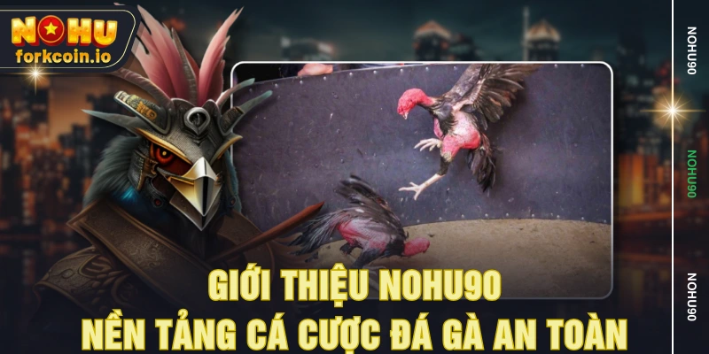 Giới thiệu NOHU90 - Nền tảng cá cược đá gà an toàn Giới thiệu NOHU90 - Nền tảng cá cược đá gà an toàn