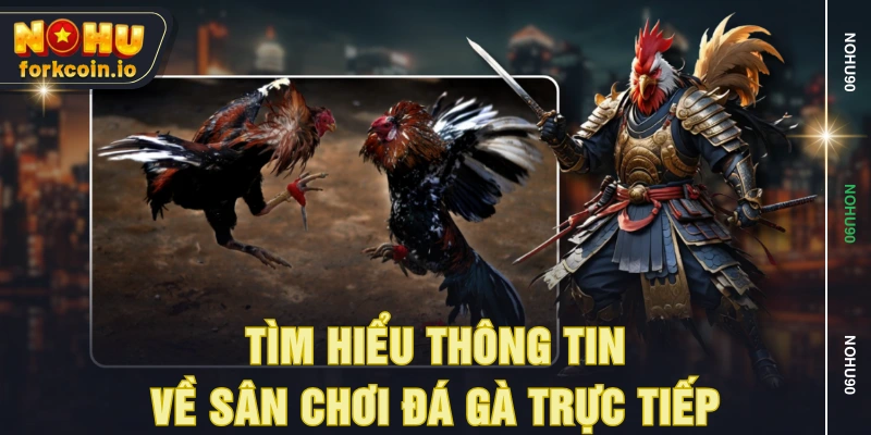 Tìm hiểu thông tin về sân chơi đá gà trực tiếp Tìm hiểu thông tin về sân chơi đá gà trực tiếp